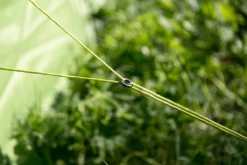 Buitenkampeer Winkel -Buitenkampeer Winkel 1200x800 1