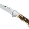 Vouwmes Fox Knives Forest Stag -Buitenkampeer Winkel FO20576CE Large