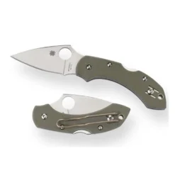 Vouwmes Dragonfly PE Groen Spyderco
